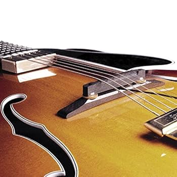 Amazon | FISHMAN Electric /Acoustic Archtop Guitar Pickup